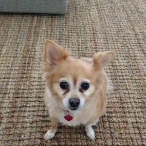 Meet your Posher, Kathi